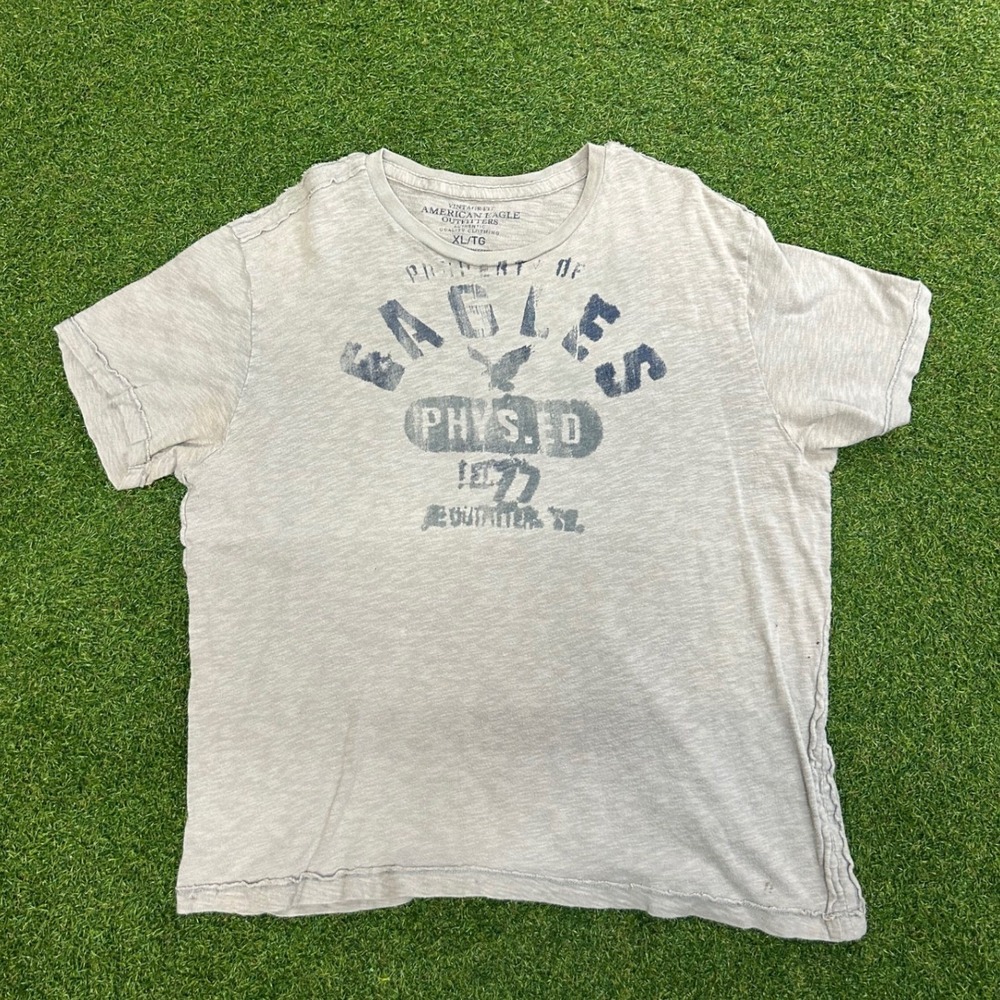 American Eagle Outfitters Mens XL Gray Phys Ed 1977 Graphic T-Shirt Vintage Fit